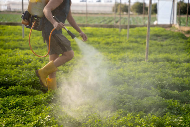 Best Residential Pest Control  in Pine Mountain Lake, CA