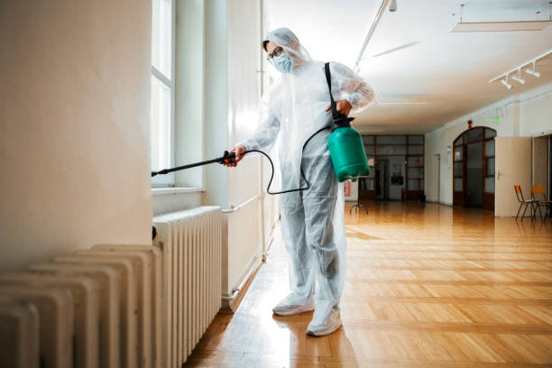 Trusted Pine Mountain Lake, CA Pest Control Experts
